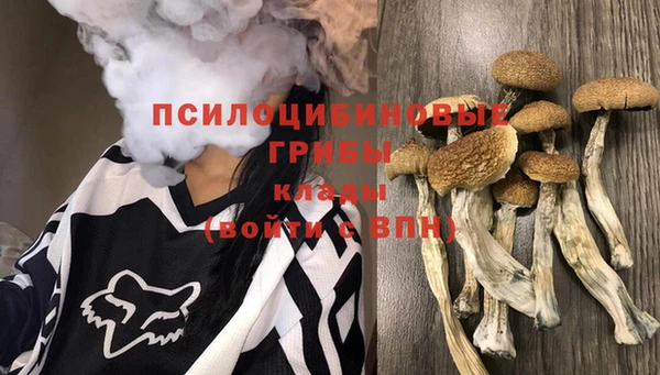 трава Михайлов