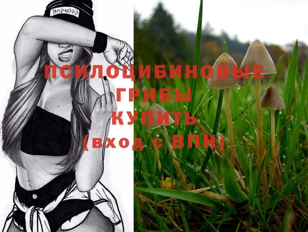 бошки Михайловка