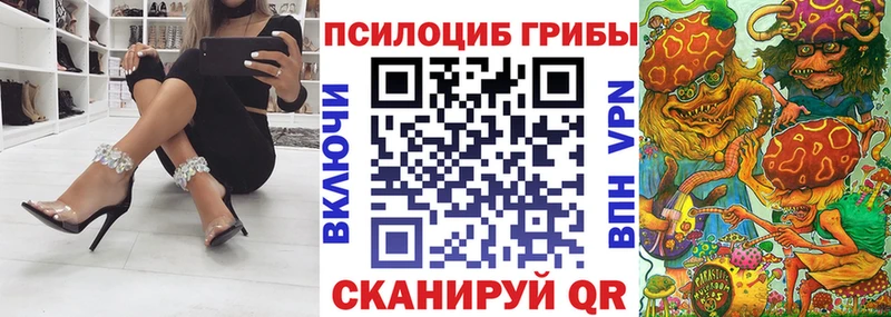 Псилоцибиновые грибы Psilocybe Фокино