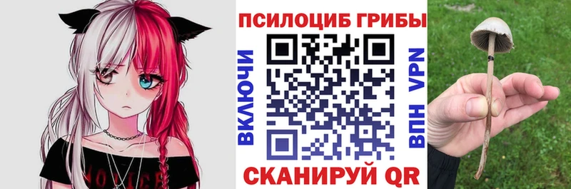 купить наркотики сайты shop официальный сайт Псилоцибиновые грибы мицелий Фокино